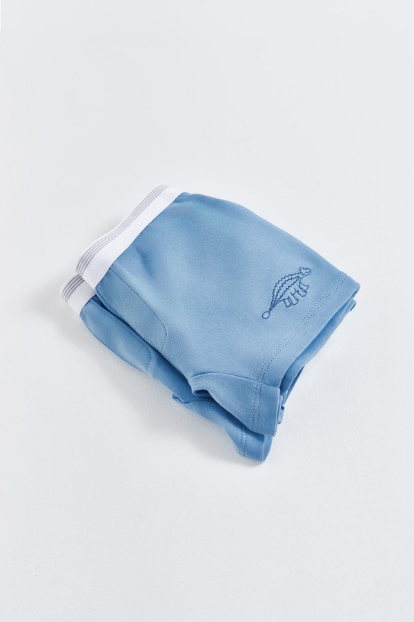 Premium Cotton Roar Boxers 2-Pack for Toddler. Folded view