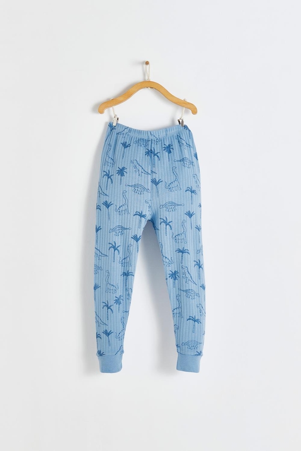 Premium Cotton Roar Snug Fit Long Pajama Bottom for Toddler. Front view