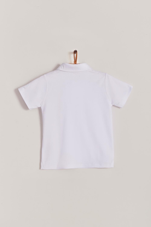 Pima Colors Short Sleeve Polo Shirt. Back view