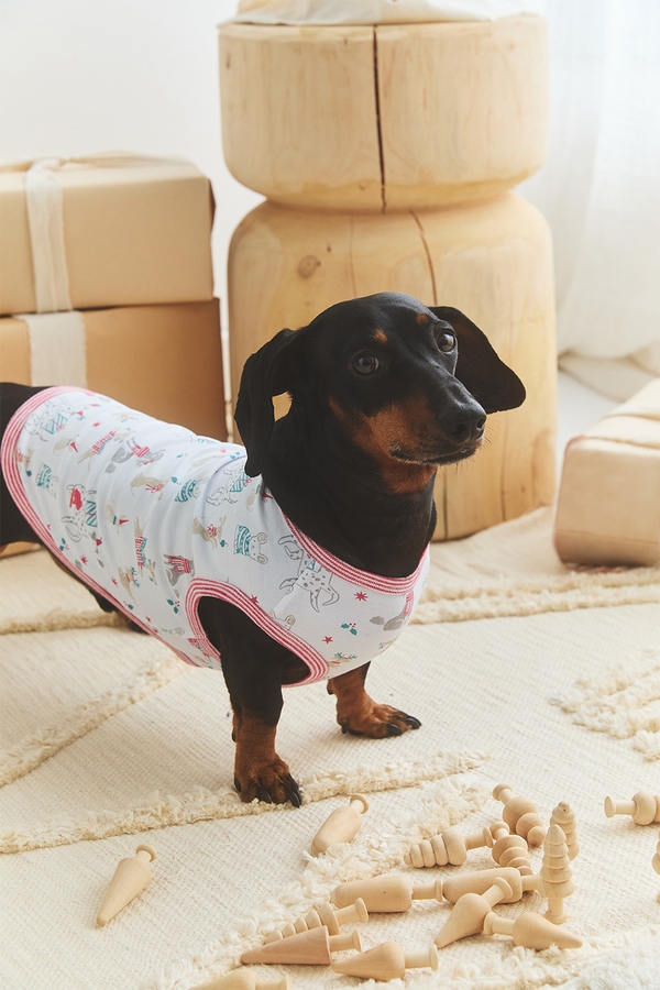 Christmas Pet Pajama