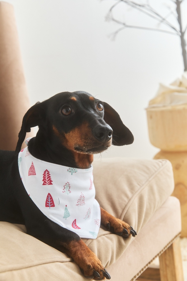 Tiny Tree Pet Bandana