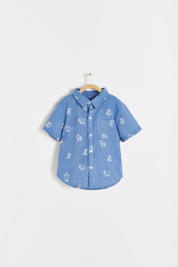 Raphael Shirt