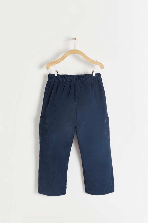 Corduroy Eric Pants