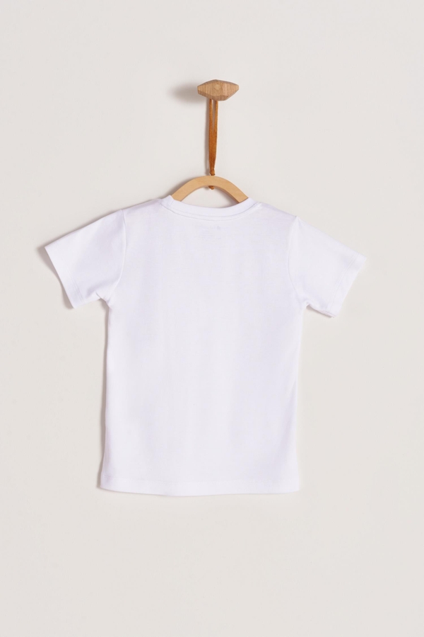 Pima Colors Short Sleeve Tee. Back view