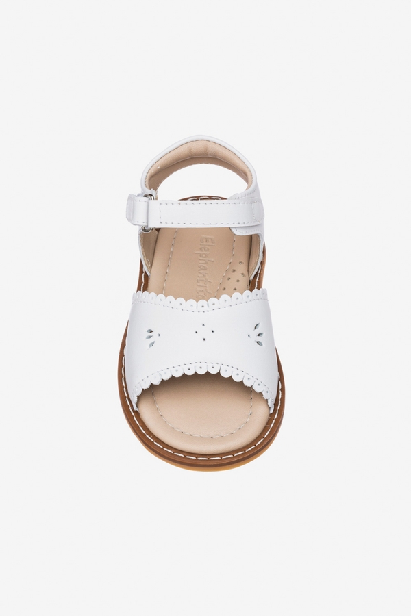 ELEPH Classic Sandal w Scallop